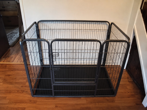 Dog crate - dog,