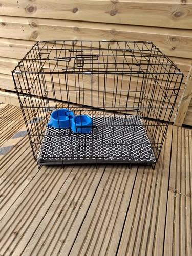 Brand new small dog cat - brand,