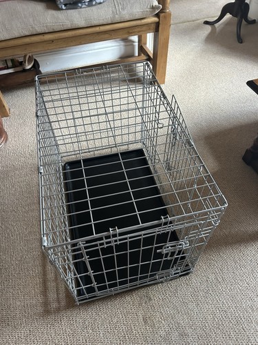 Pets home dog - home,