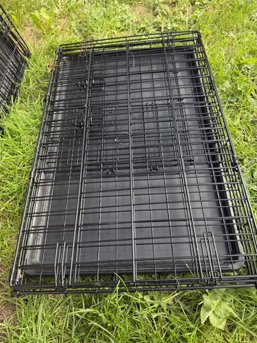 Dog crate - dog,