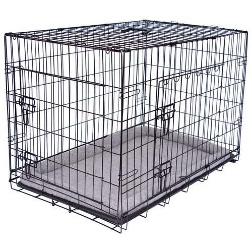 Pretty pooch dog - pooch, cage