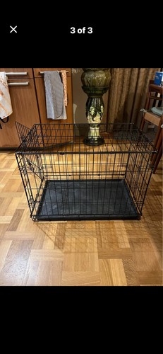 Dog crate - dog,