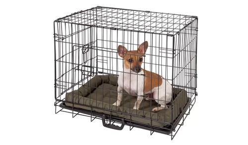 New door small dog - 2,