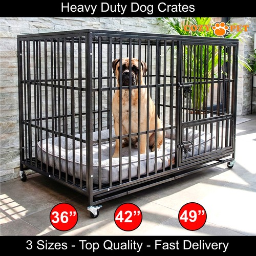 Cozy pet heavy - duty, dog