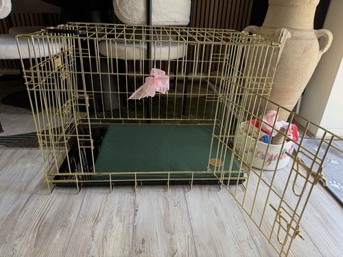 Medium size golden pet crate - golden,